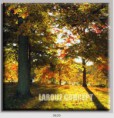 /album/photo-gallery-canvas-uri/decoratiuni-de-perete-canvas-lc-0630-jpg/